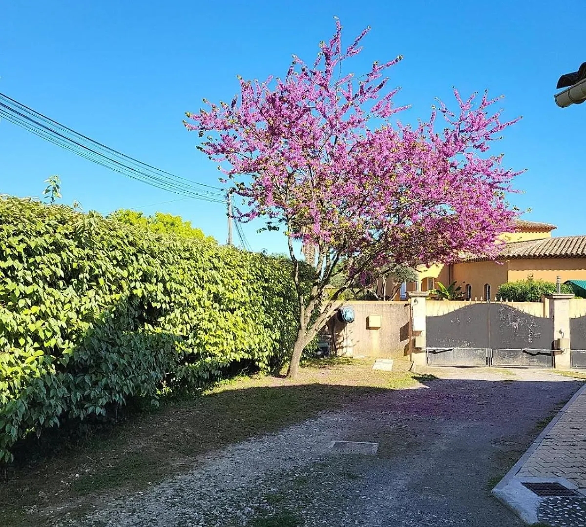Apartment La Toscane Roquebrune-sur-Argens